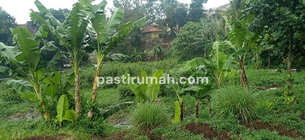 Tanah Untuk Perumahan dan Permukiman di Cihanjuang Cimahi