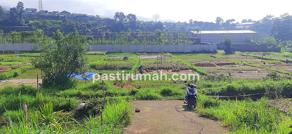 Tanah 1739 m2 SHM Untuk Villa Kebun Agro Bisnis Agro Wisata di Lembang