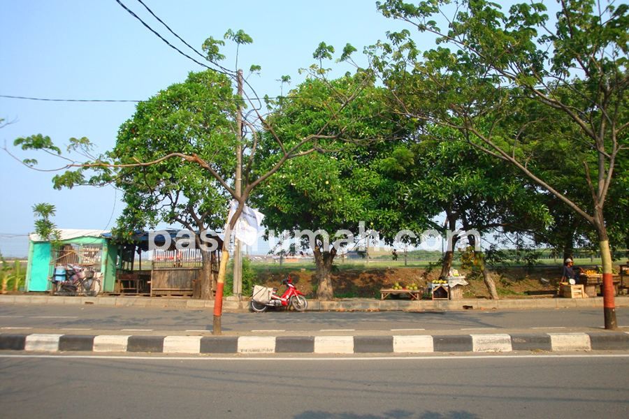 photo-8