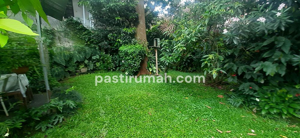photo-11