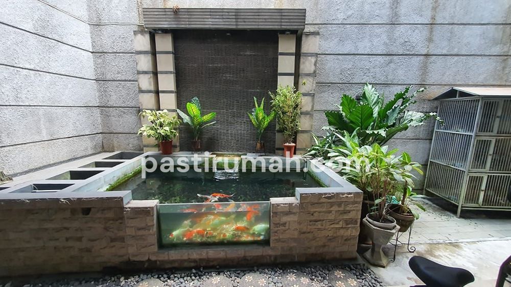 photo-12