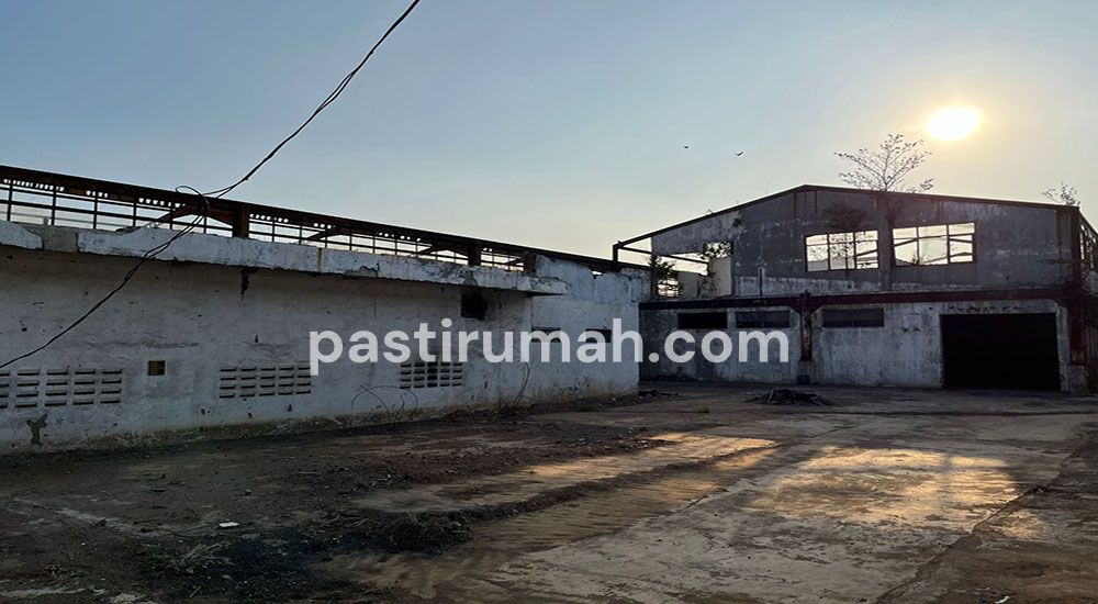 photo-1