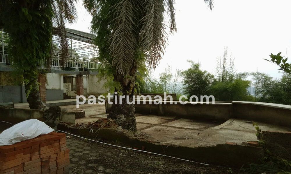 photo-1