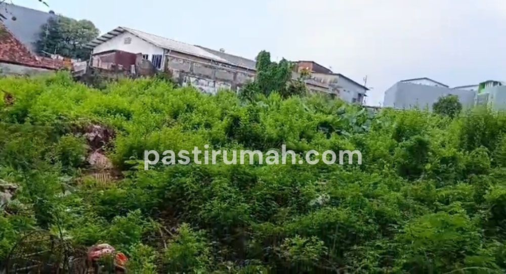 photo-2