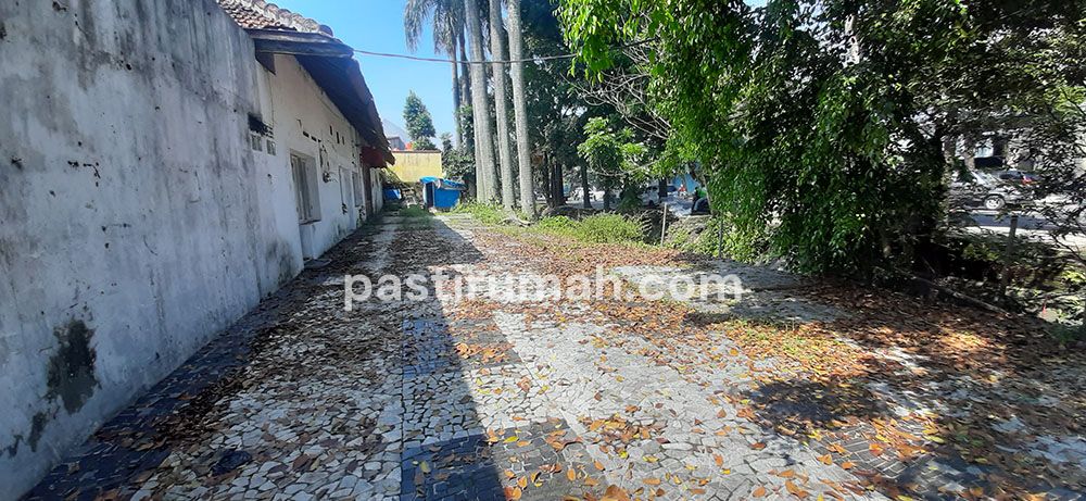 photo-2