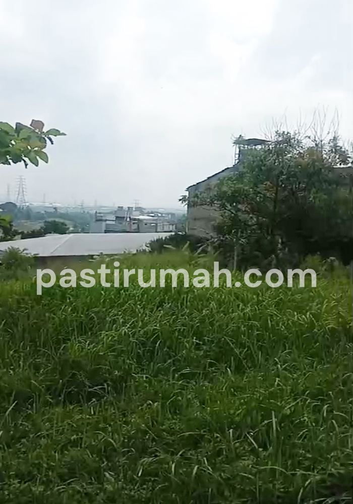 photo-2