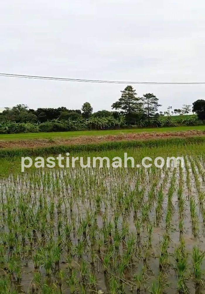 photo-2