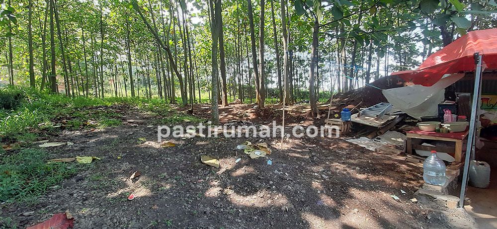 photo-2