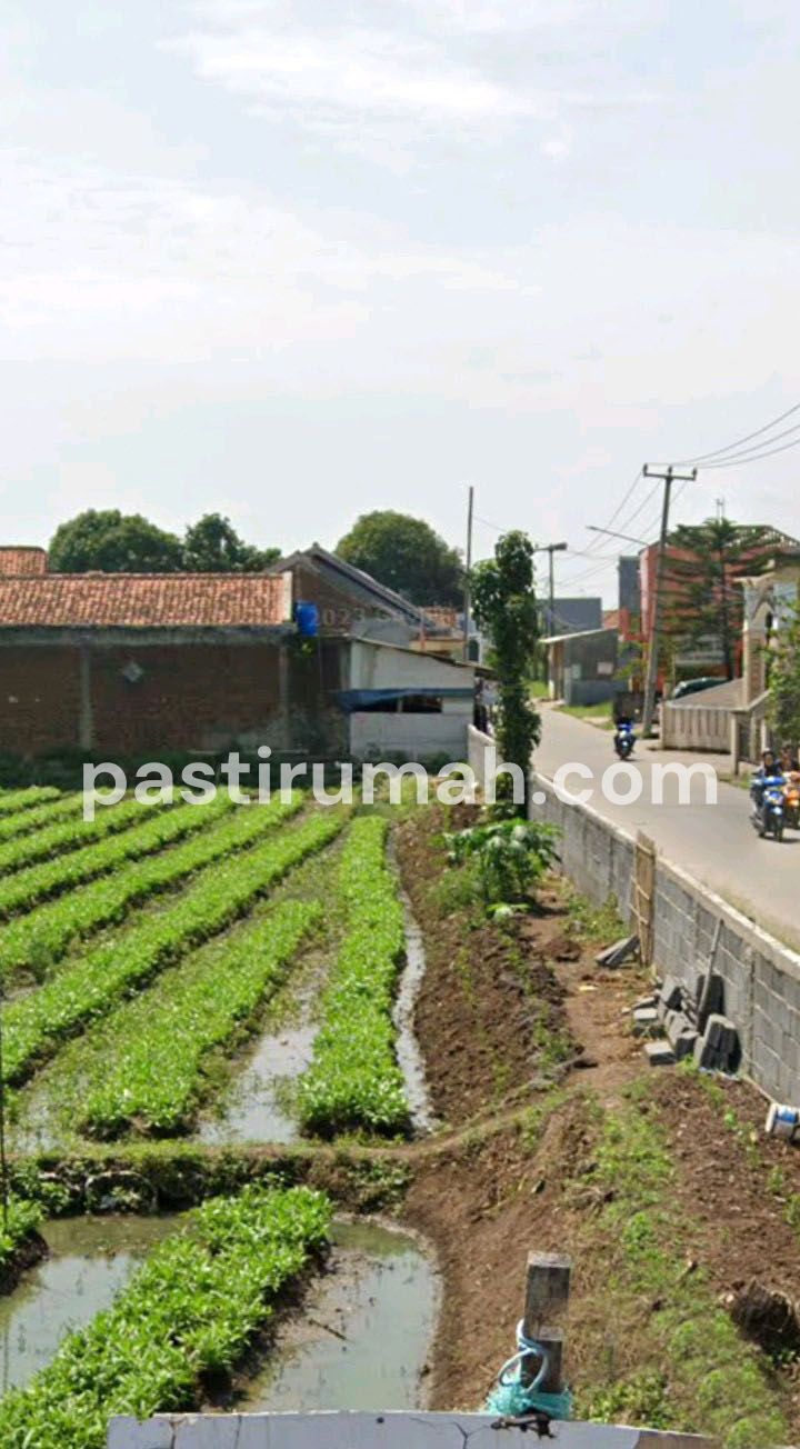 photo-3