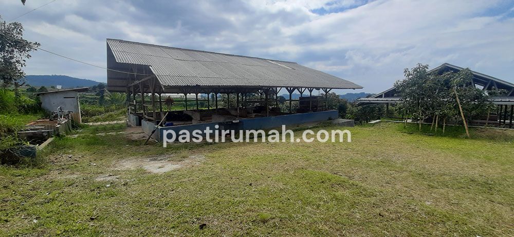 photo-3