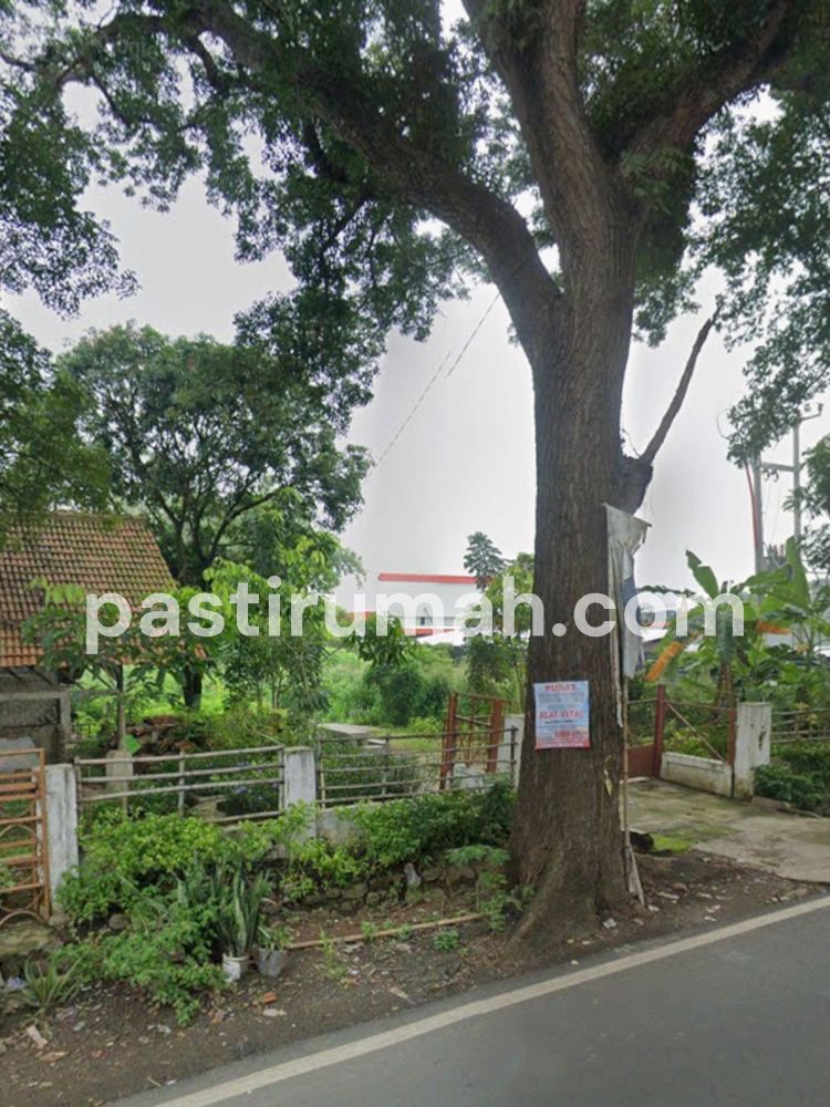 photo-3