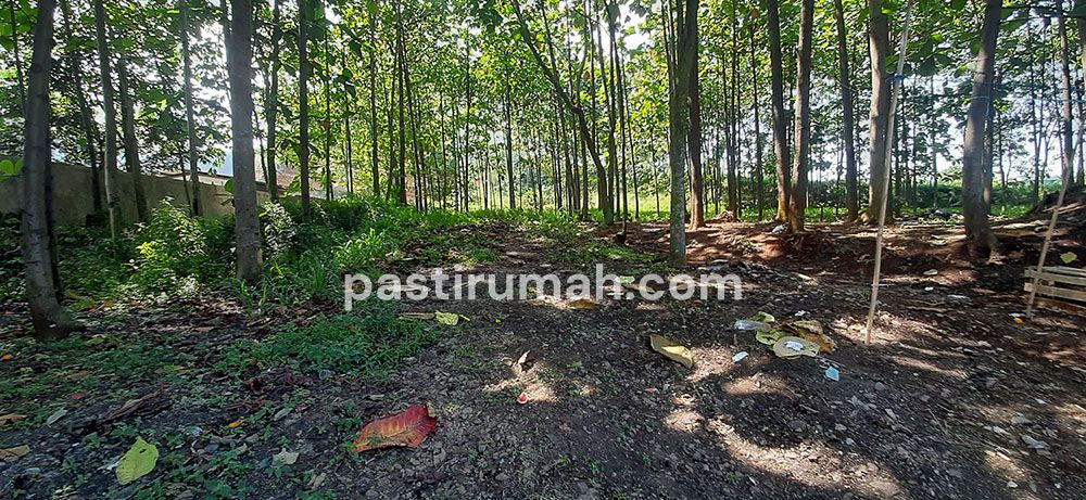 photo-3