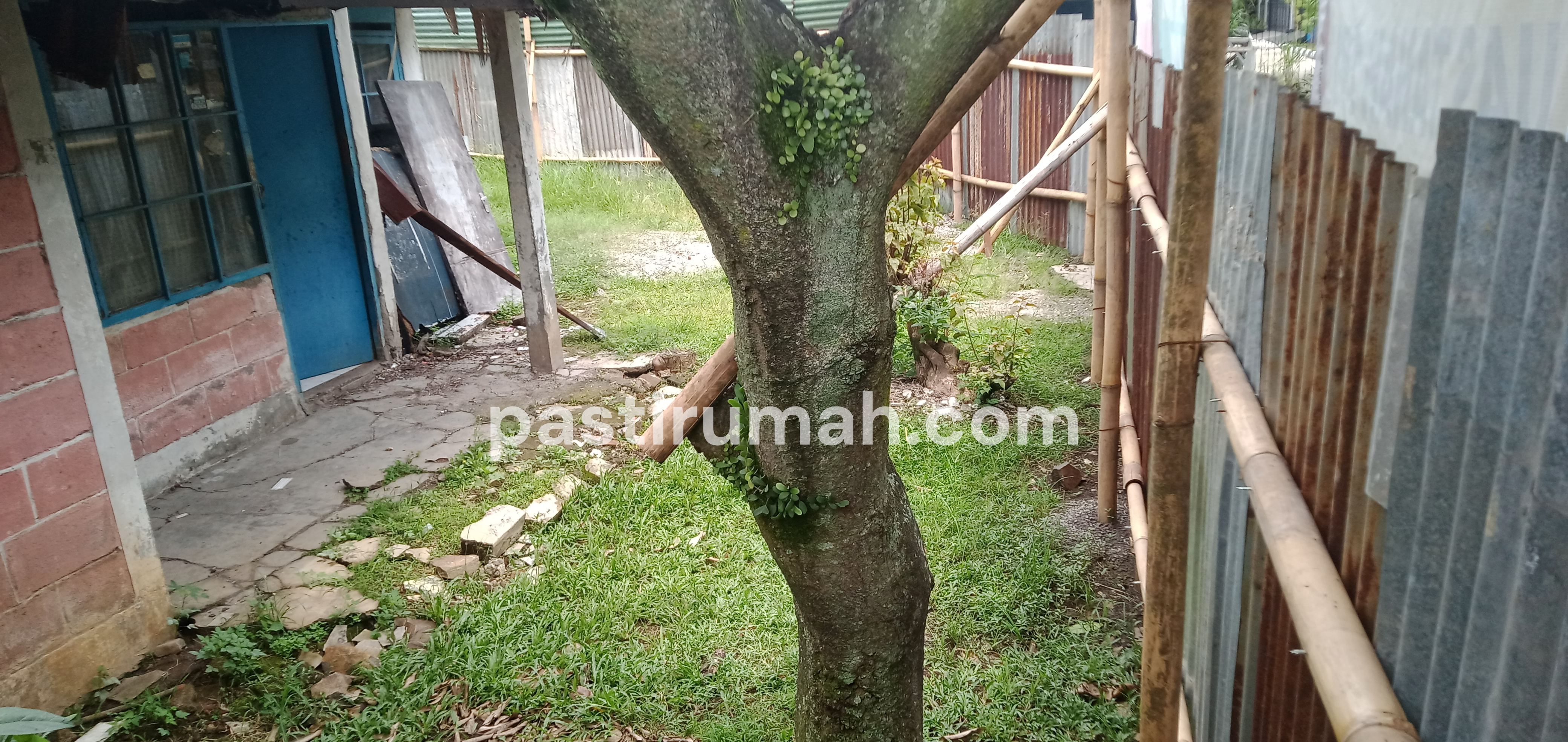 photo-3