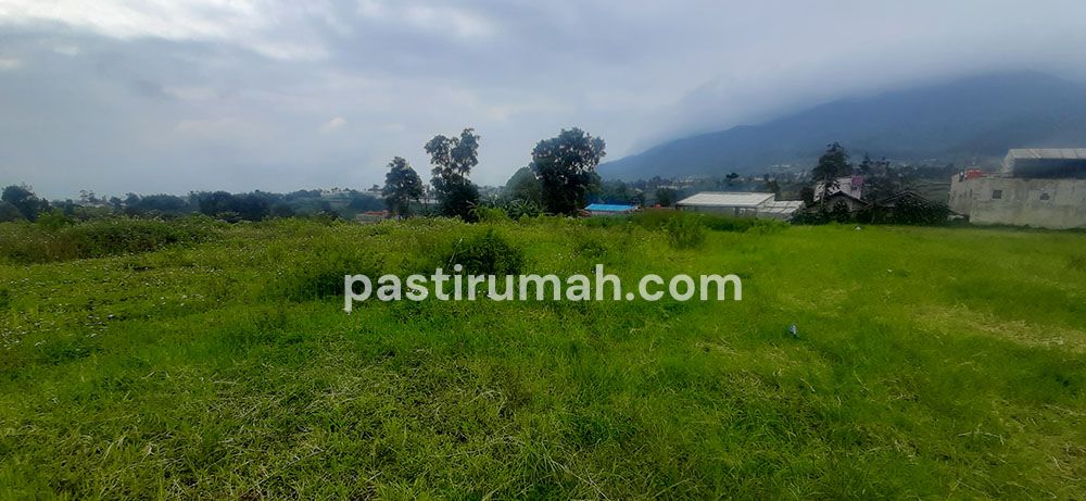 photo-4