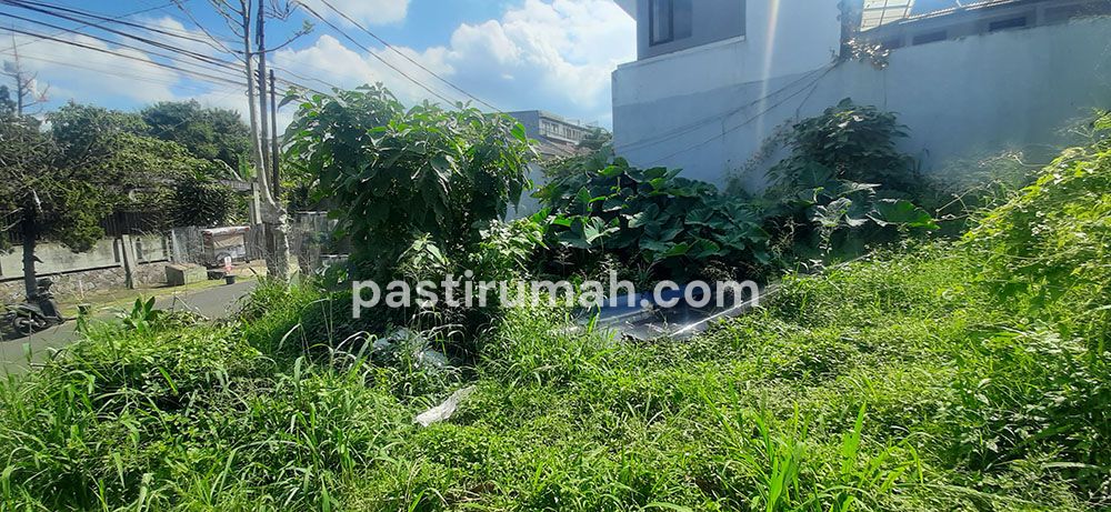 photo-4