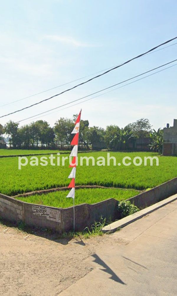 photo-4