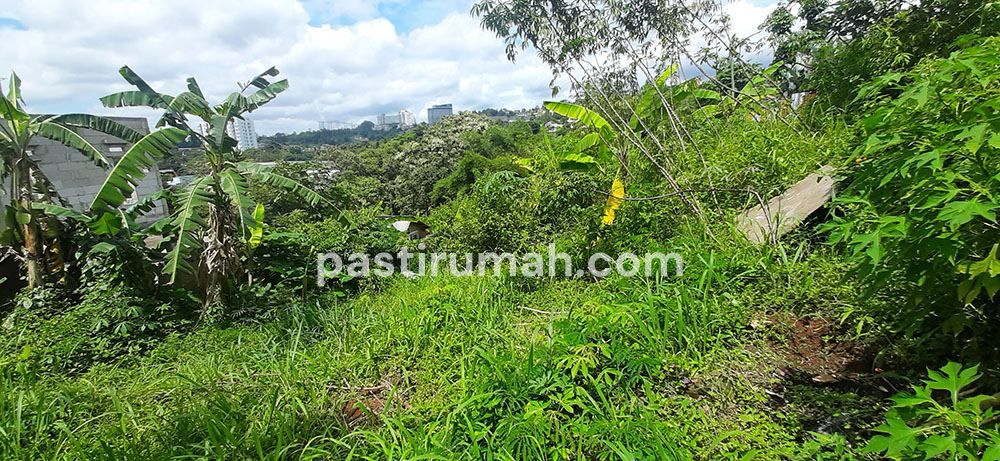 photo-4