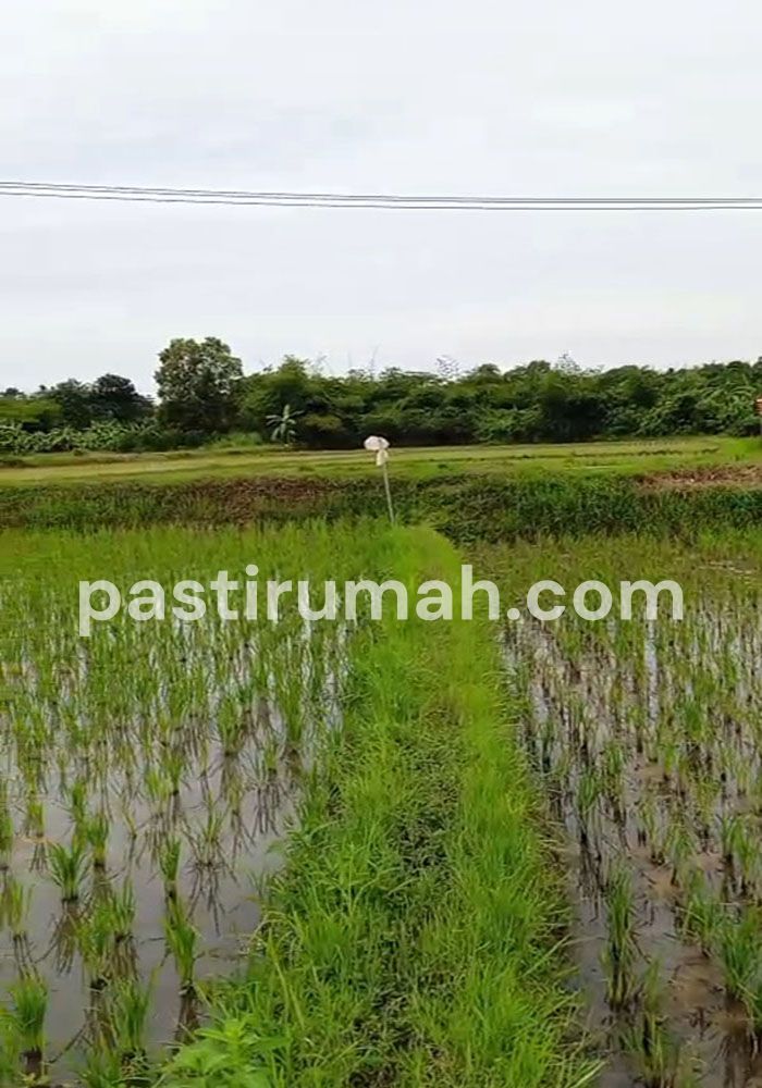photo-4