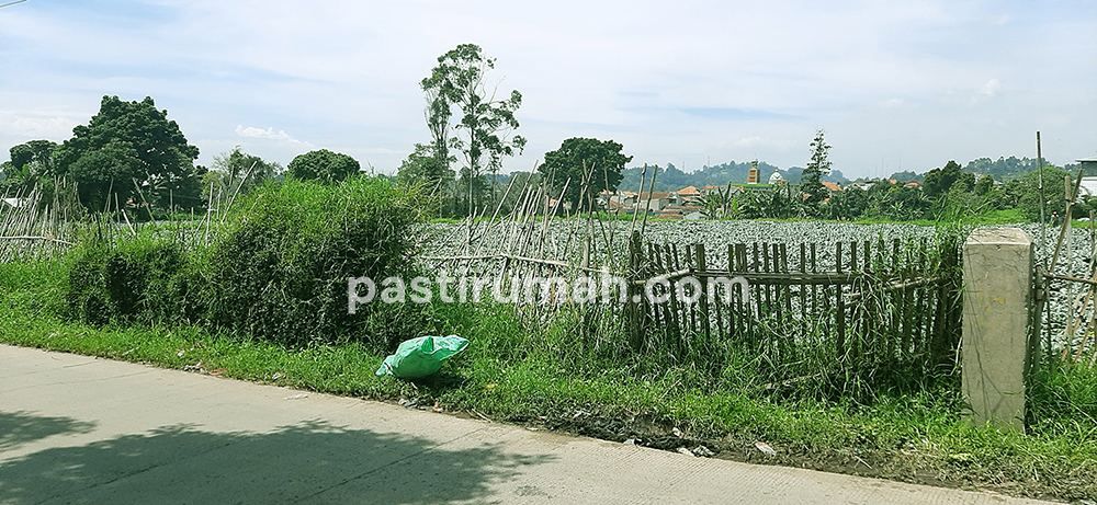 photo-6
