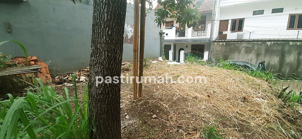 photo-6