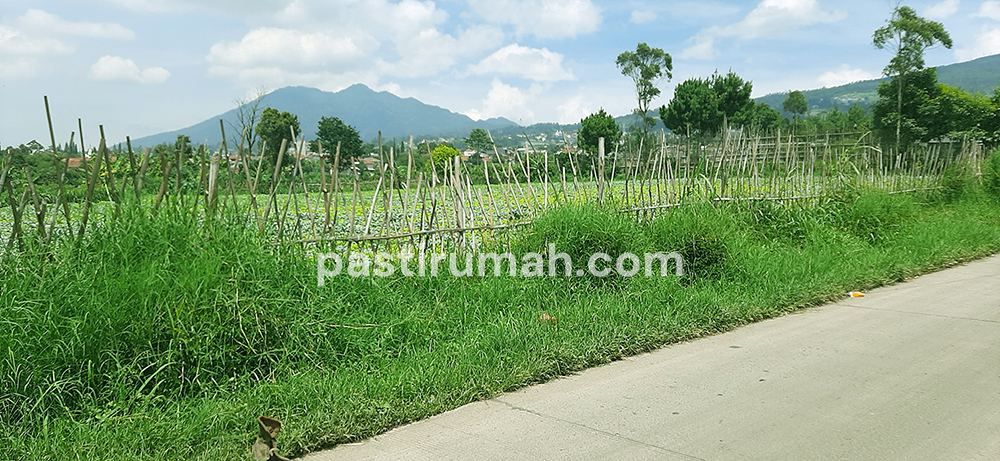 photo-7
