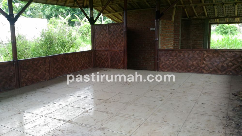 photo-7