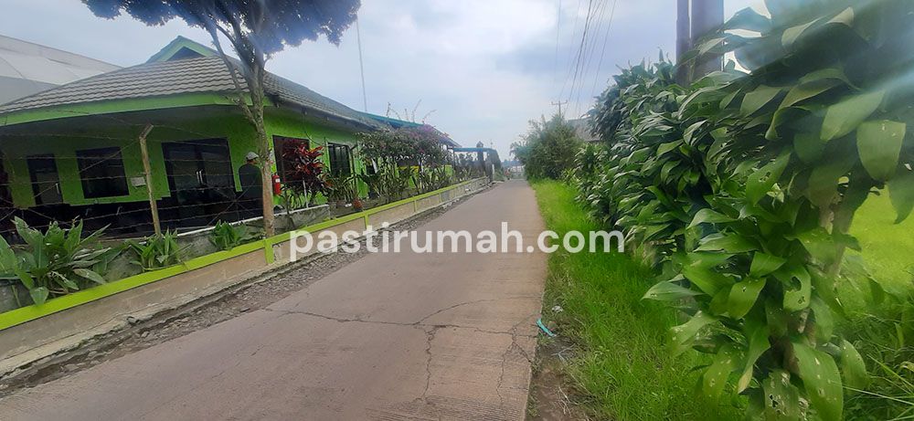 photo-7