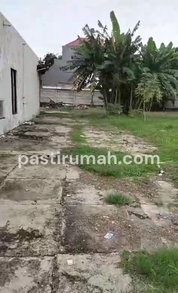 photo-8