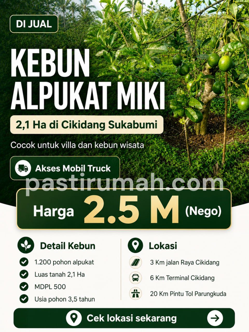 Dijual Kebun Alpukat Miki 2 Ha di Cikidang Sukabumi