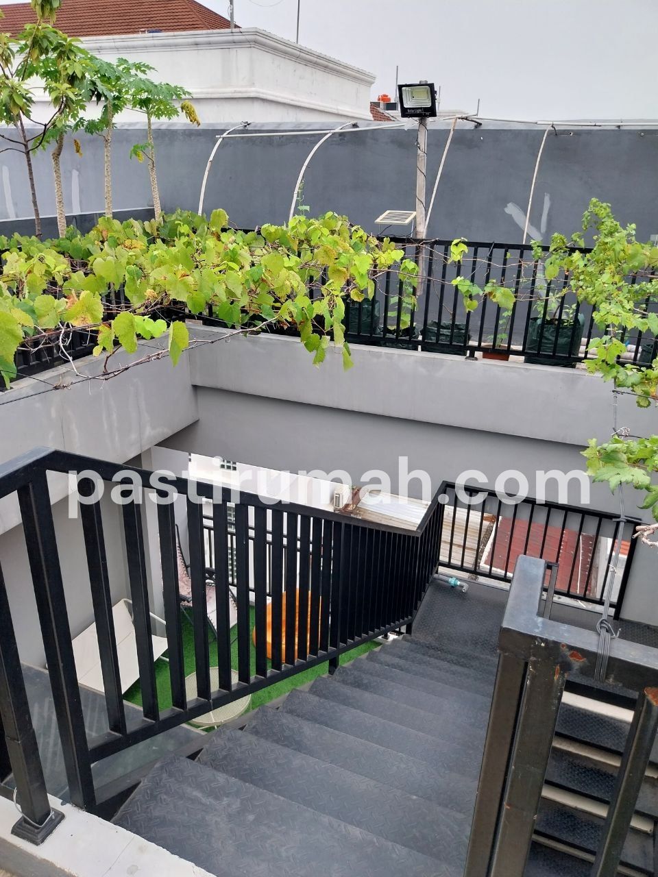 photo-4