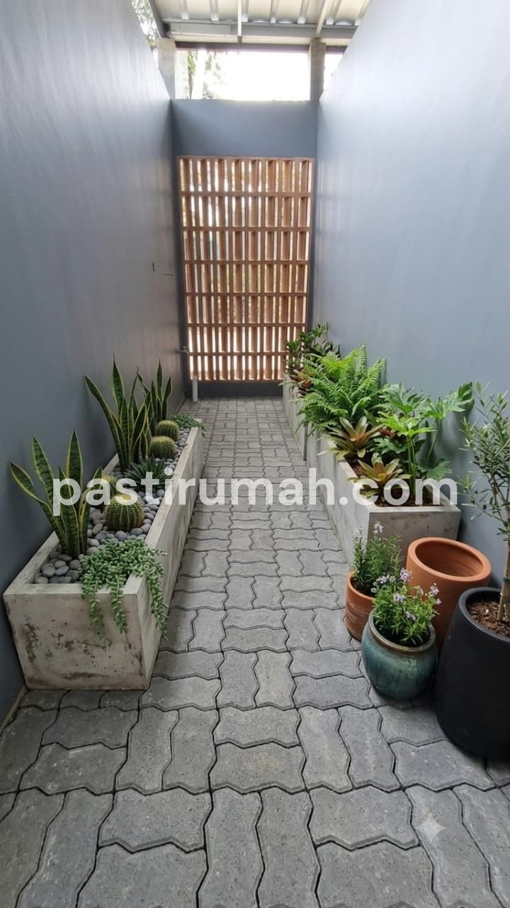 photo-8