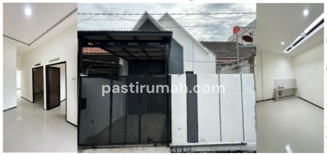 photo-3