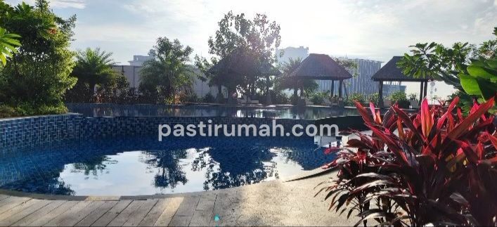 photo-11