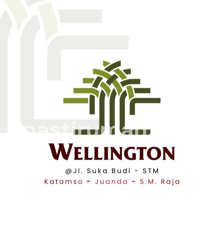 Dijual Villa mewah komplek Wellington jln Suka Budi - Medan