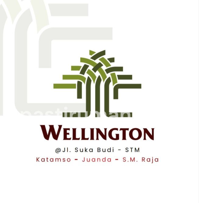 Dijual Villa mewah komplek Wellington jln Suka Budi - Medan