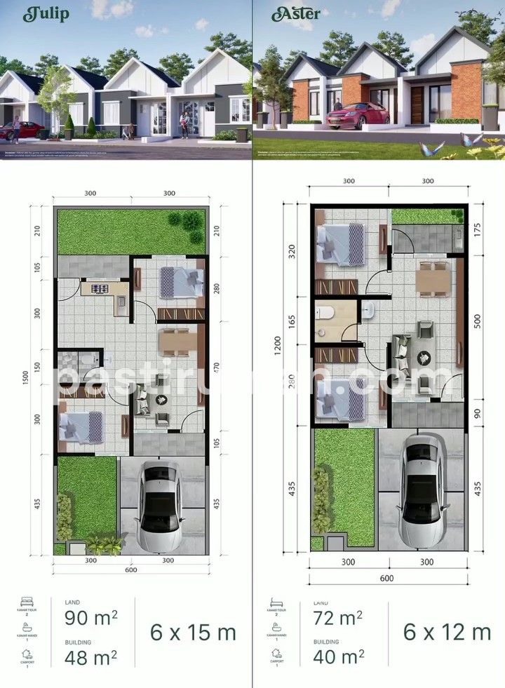 photo-1