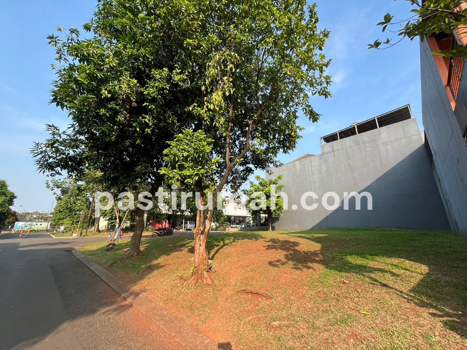 photo-3