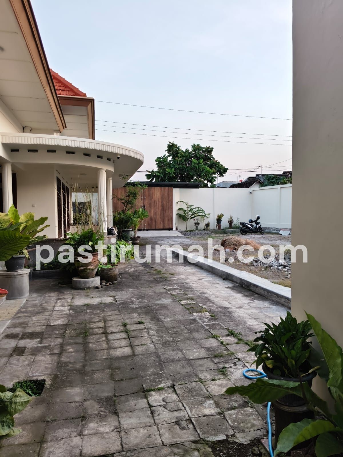 photo-1