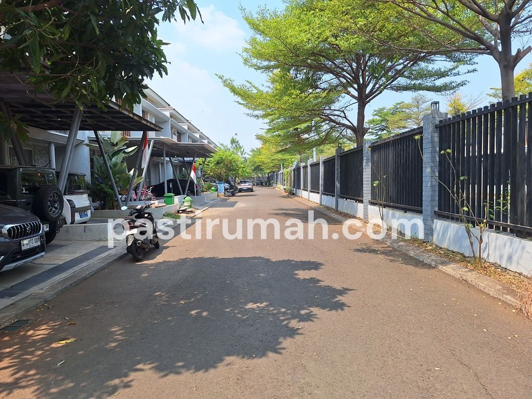 photo-1