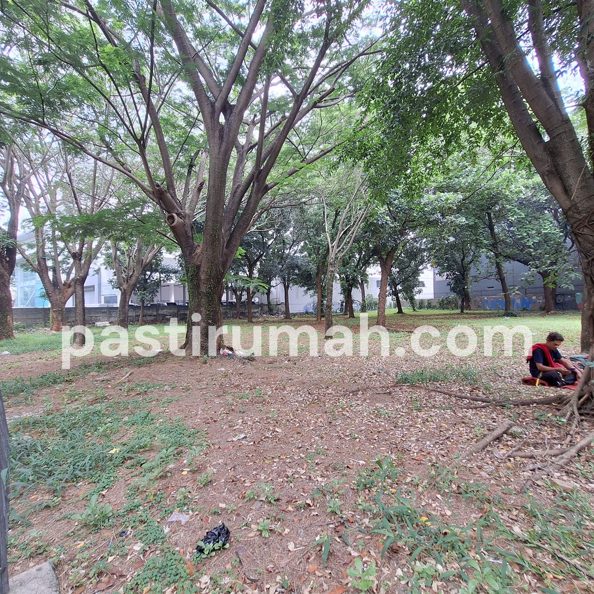 photo-2