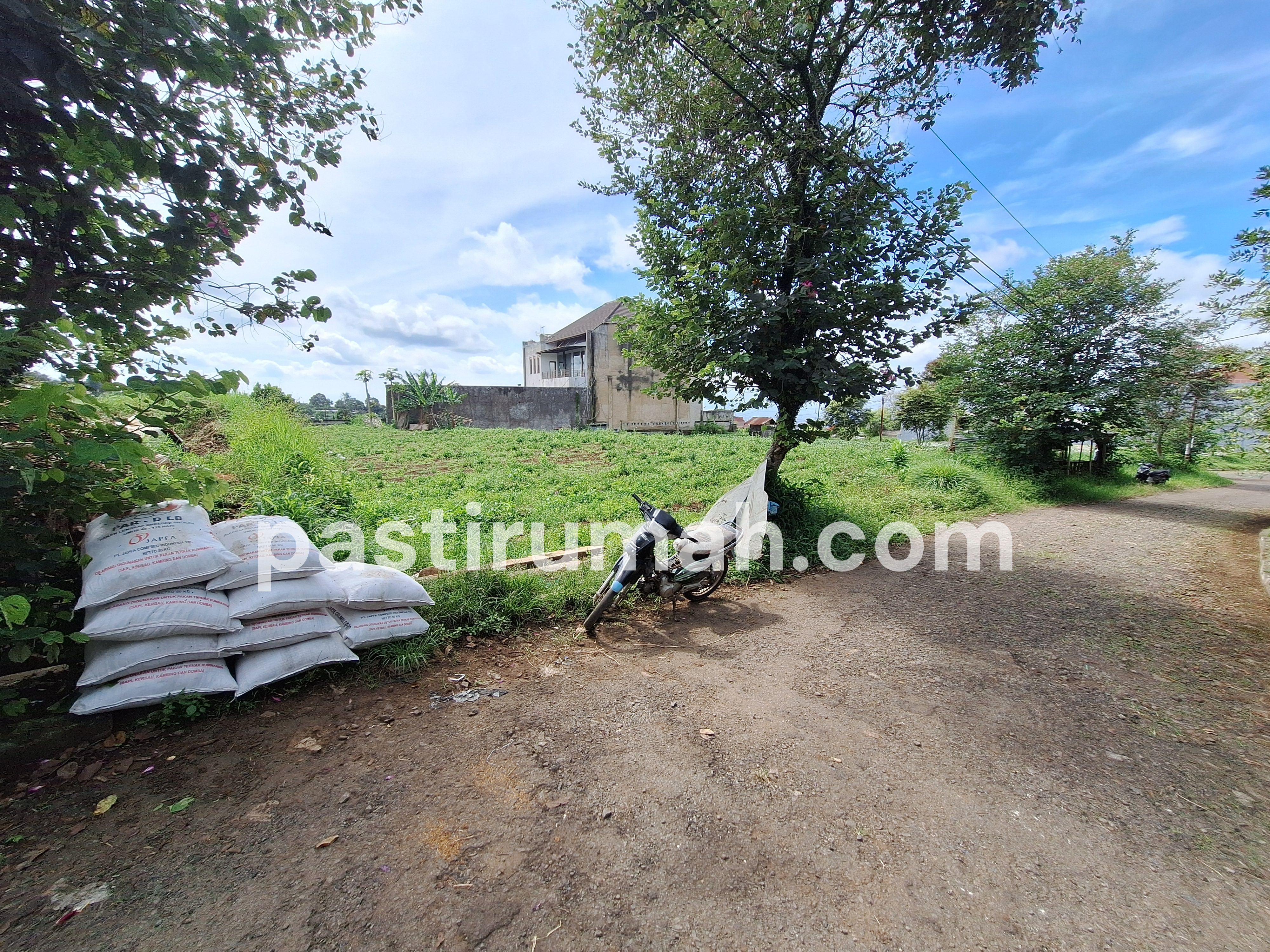 photo-7