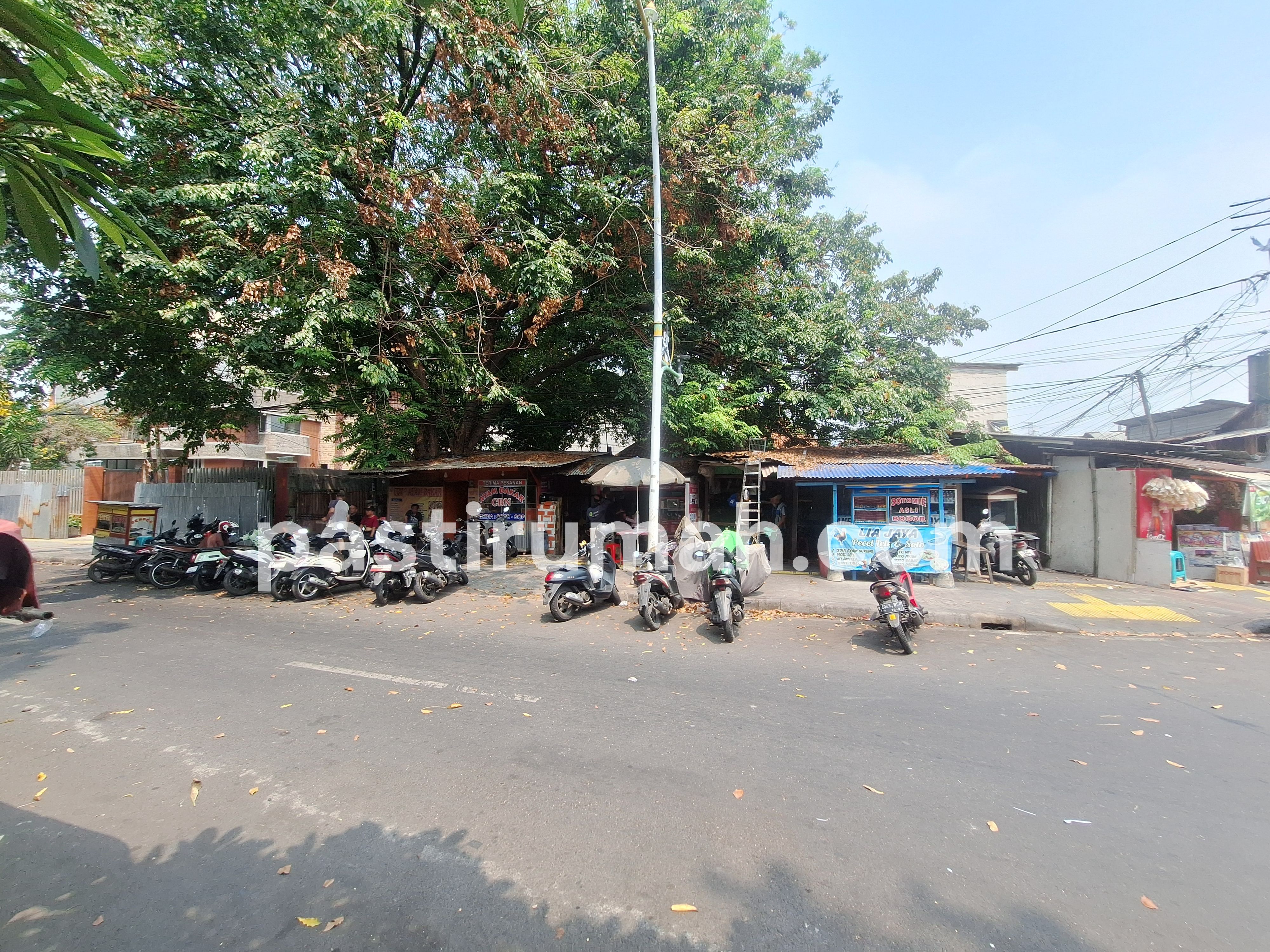 photo-3