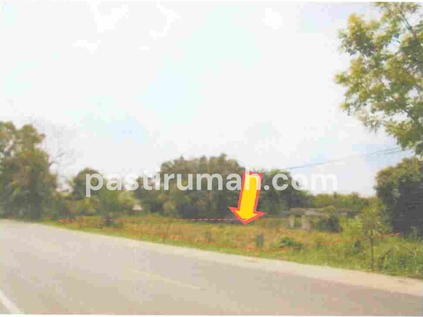 photo-3