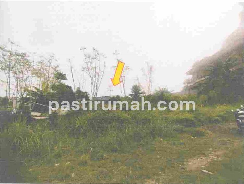 photo-2