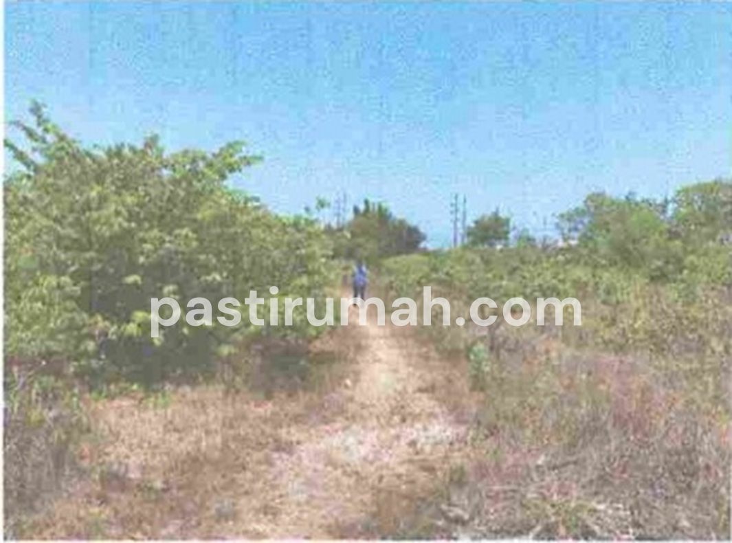 photo-2