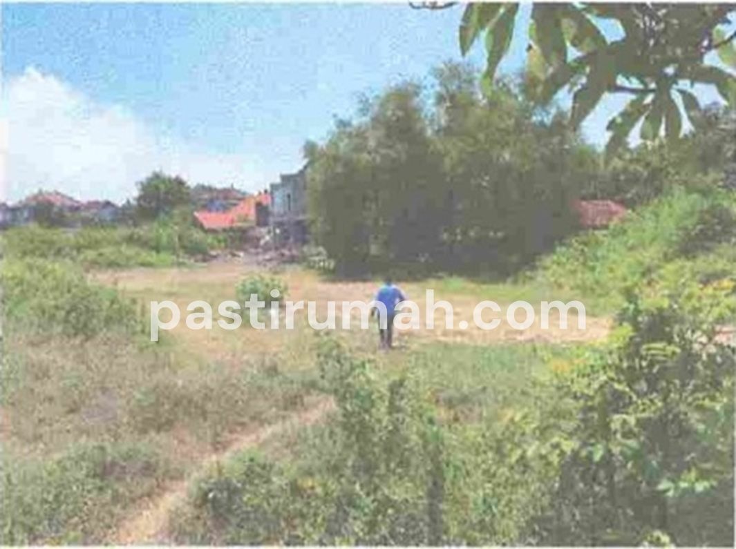 photo-8