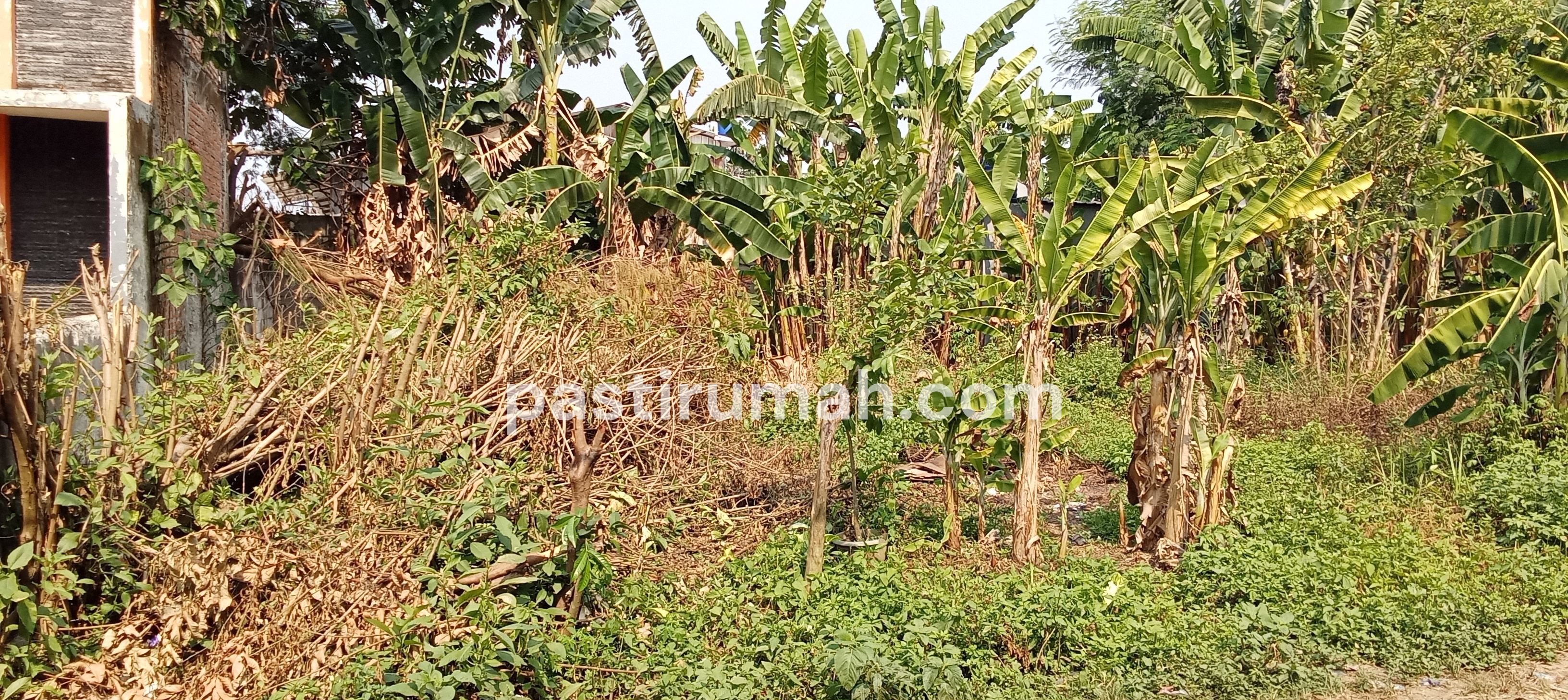 Jual cepat tanah kaplingan strategis nyaman investasi bebas banjir