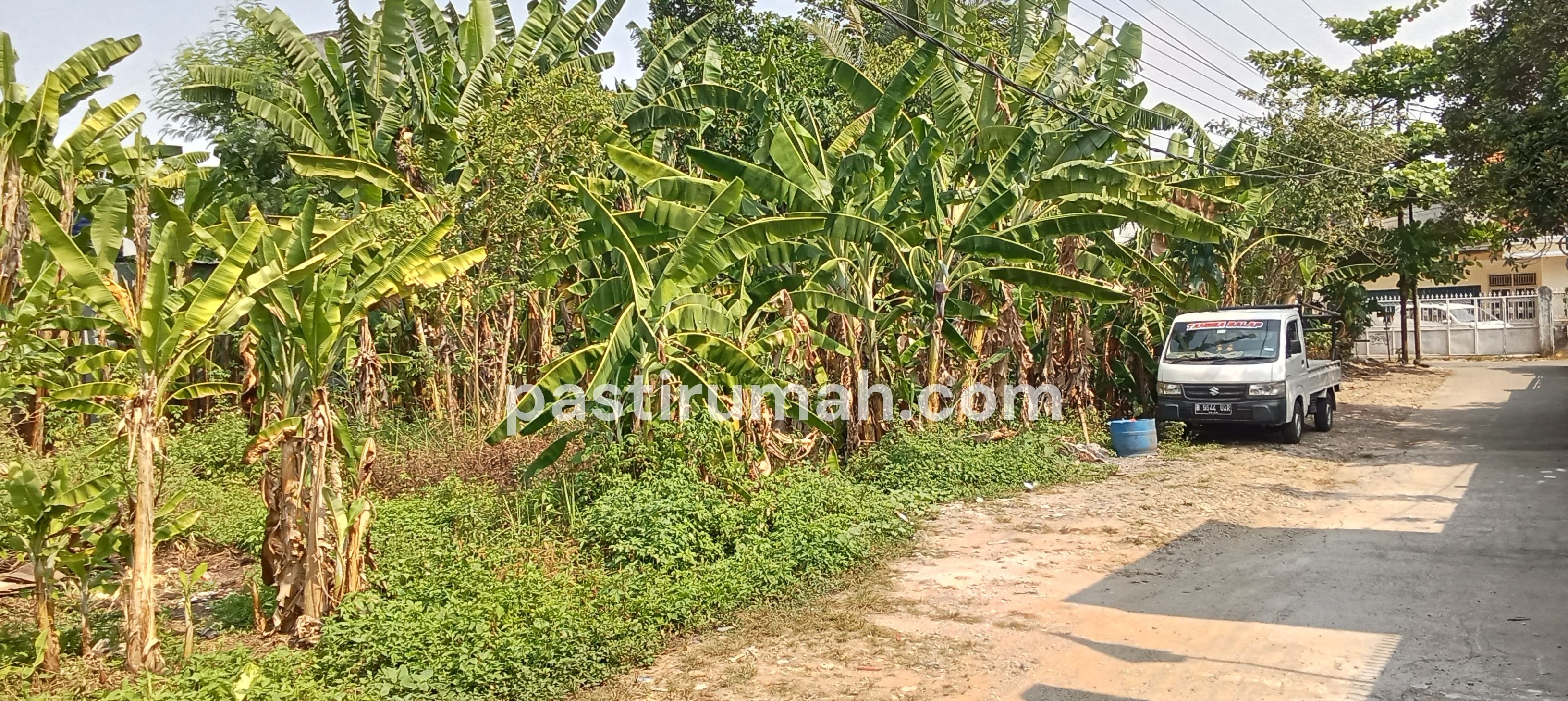 photo-5