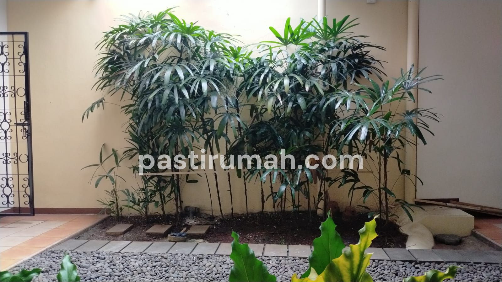 photo-6