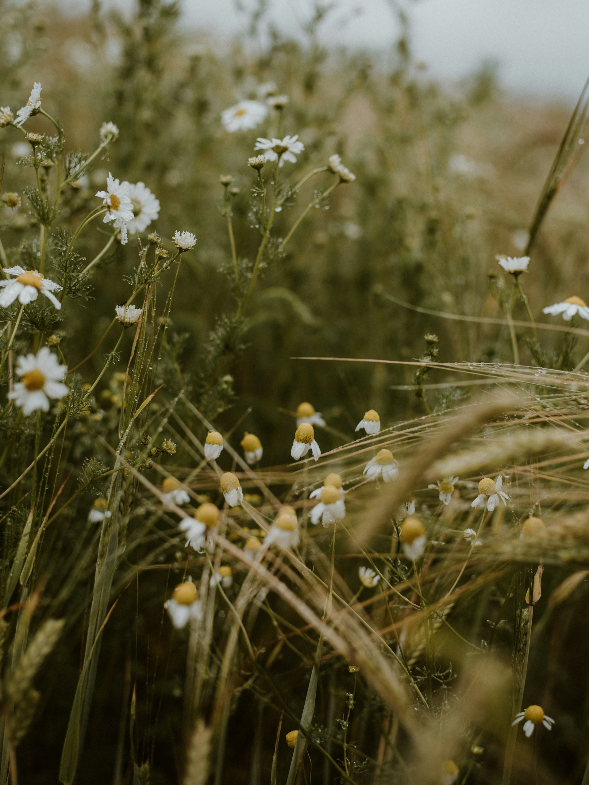 landscape photography